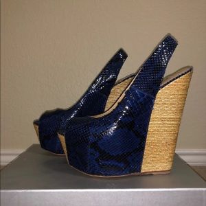 Gianmarco Lorenzi Black & Navy Python Wedges